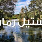دانلود رمان پرواز برای رهایی pdf از فاطمه جلالوند با لینک مستقیم دانلود رمان پرواز برای رهایی pdf از فاطمه جلالوند با لینک مستقیم