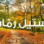 دانلود رمان درگیر رویای توام pdf از مبینا قسمتی با لینک مستقیم دانلود رمان درگیر رویای توام pdf از مبینا قسمتی با لینک مستقیم