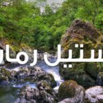 دانلود رمان نمیشود با چای مست شد pdf از غزل داداش پور مستقیم دانلود رمان نمیشود با چای مست شد pdf از غزل داداش پور مستقیم