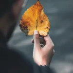 دانلود رمان سودا دانلود رمان سودا
