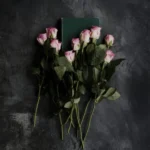 دانلود رمان سه دبیرستانی هات من pdf (سه جلد کامل) رایگان دانلود رمان سه دبیرستانی هات من pdf (سه جلد کامل) رایگان