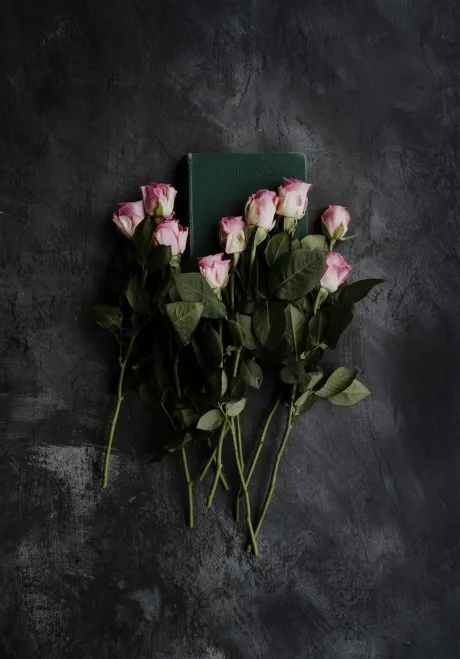 دانلود رمان  دوست دختر اجاره ای من ( جلد 1 و 2 ) بدون سانسور دانلود رمان  دوست دختر اجاره ای من ( جلد 1 و 2 ) بدون سانسور