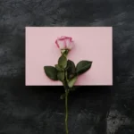دانلود رمان همسر کوچک من از ملی.ر به صورت رایگان دانلود رمان همسر کوچک من از ملی.ر به صورت رایگان