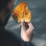 دانلود رمان متجاوز دوست داشتنی اثر گروه همدل بدون سانسور دانلود رمان متجاوز دوست داشتنی اثر گروه همدل بدون سانسور